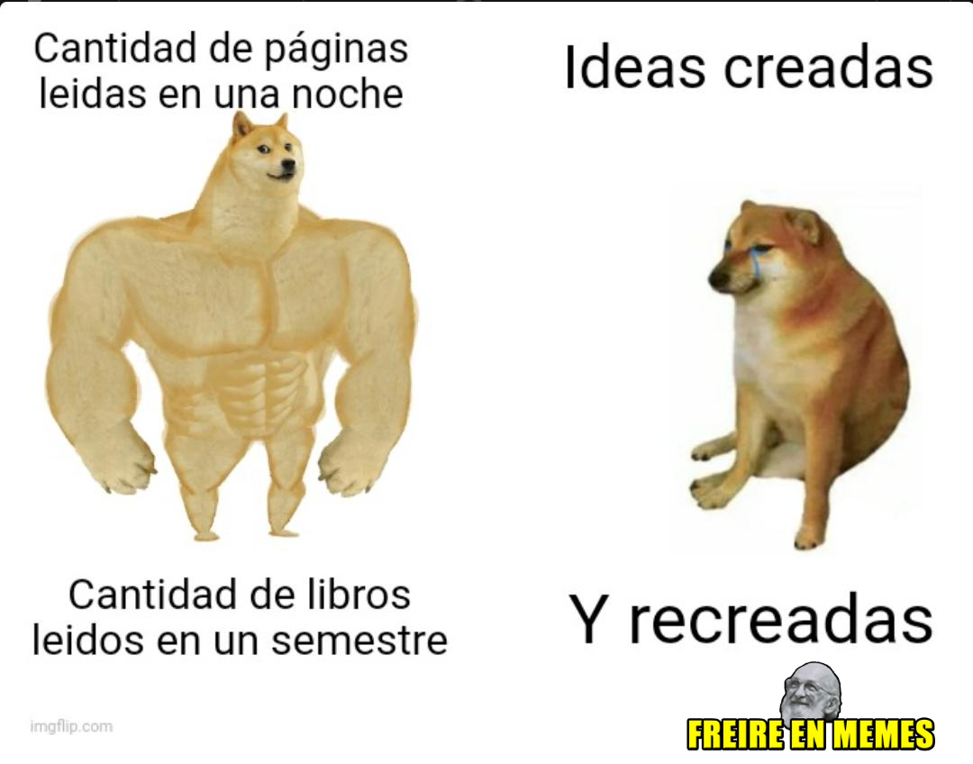 BARCOS - CUEVAS meme perritos